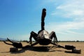 Scorpion sculpture, Anza Borrego Desert State Park, California
