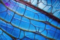 vivid blue morpho butterfly wing, capturing iridescent texture Royalty Free Stock Photo
