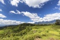 Vivid Blue Sky Above Rice Terraces