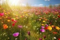 Vivid and bright flowers in a field with photorealistic landscapes in spring and summer. Help save the planet! Generative AI