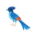 Vivid Caerulean Paradise Bird Design Royalty Free Stock Photo