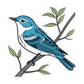 Vivid Cerulean Warbler Bird Illustration Royalty Free Stock Photo