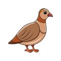Vivid Chukar Partridge Bird Design Royalty Free Stock Photo
