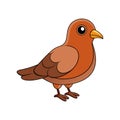 Vivid Cinnamon Ground Dove Bird Design Royalty Free Stock Photo