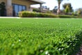 Vivid close up of bermuda grass lawn in rich green color, showcasing young and vibrant growth