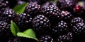 Vivid close-up of juicy blackberries. AI Generative