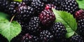 Vivid close-up of juicy blackberries. Created by AI tools