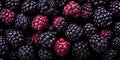 Vivid close-up of juicy blackberries. Created by AI tools