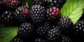 Vivid close-up of juicy blackberries. Created by AI tools