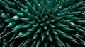 A vivid close-up of a spiny green cactus