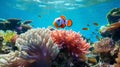 Vivid Clownfish Swimming In Photorealistic Coral Reefs
