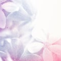 Vivid color flowers in soft and blur style on mulberry paper texture Royalty Free Stock Photo