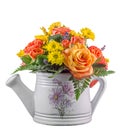 Vivid colored flowers, orange roses, in a white sprinkler, isolated