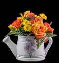 Vivid colored flowers, orange roses, in a white sprinkler, isolated Royalty Free Stock Photo