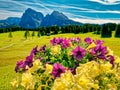 Vivid colorful landscape mountain summer time