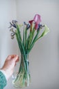 Vivid Colorful: Male Hand Holding Vase with Cala Lilies and Iris