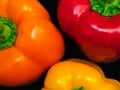 Vivid colorful shiny peppers.