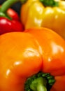Vivid colorful shiny peppers close up. Royalty Free Stock Photo