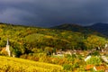 Vivid colors of autumn vineyards in Andlau, Alsace Royalty Free Stock Photo