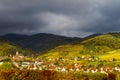 Vivid colors of autumn vineyards in Andlau, Alsace Royalty Free Stock Photo