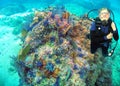 A vivid coral reef off Puerto Vallarto, Mexico Royalty Free Stock Photo