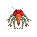 Vivid Cryptolithodes Crustacean Detailed Artwork Royalty Free Stock Photo