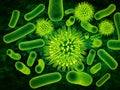 Vivid 3D microscopic view of green bacteria and viral pathogens. Royalty Free Stock Photo