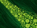 Vivid 3D microscopic view of green bacteria and viral pathogens. Royalty Free Stock Photo