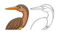 Vivid American Bittern Bird Design Royalty Free Stock Photo