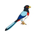 Vivid Elegant Trogon Design Royalty Free Stock Photo