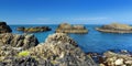 Vivid emerald-green water at Ballintoy harbour along the Causeway Coast in County Antrim