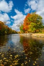 Vivid fall foliage on the Grand River river in Grand Ledge with cloudy sky Royalty Free Stock Photo