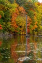 Vivid fall foliage on the Grand River river in Grand Ledge with cloudy sky Royalty Free Stock Photo