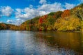 Vivid fall foliage on the Grand River river in Grand Ledge with cloudy sky Royalty Free Stock Photo