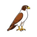 Vivid Ferruginous Hawk Design Royalty Free Stock Photo