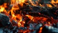 Vivid flames engulf charred wood in a closeup of a fiery blaze