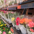 Vivid flowers in pots set out in market. Colourful spring flowers in pots on Kaufland`s supermarket shelves