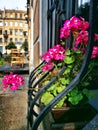 Vivid flowers on the windowsill on the street Royalty Free Stock Photo