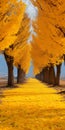 Vivid Gold Colored Trees: A Shohei Otomo Inspired Pathway