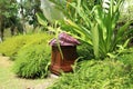 Vivid green tropical garden with red brown garden lamp, Thailand Royalty Free Stock Photo