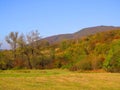 Vivid green yellow orange autumn fall in the park forest, hills and mountains.TTrees, shrubs, bushes, , welcome sunny autumn mood Royalty Free Stock Photo