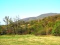 Vivid green yellow orange autumn fall in the park forest, hills and mountains.TTrees, shrubs, bushes, , welcome sunny autumn mood Royalty Free Stock Photo