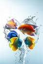 A vivid heart-shaped water splash encircles a group of colorful tropical fish, symbolizing marine love and aquatic artistry