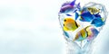 A vivid heart-shaped water splash encircles a group of colorful tropical fish, symbolizing marine love and aquatic artistry