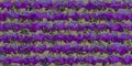 Vivid horizontal violet purple grey wavy shapes