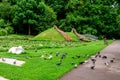 Vivid landscape in Alexandru Buia Botanical Garden from Craiova in Dolj county, Romania, with lake, waterlillies and large green