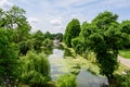 Vivid landscape in Nicolae Romaescu park from Craiova in Dolj county, Romania, with lake, waterlillies and large green tres in a