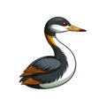 Vivid Least Grebe Bird Design Royalty Free Stock Photo