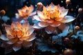 Vivid lotus blooms, blending orange and blue, an enchanting color symphony