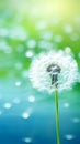 Vivid Macro Shot of a Lone Dandelion Seed Against a Soft-Focus Emerald Background